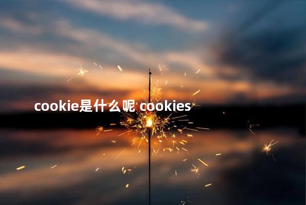 cookie是什么呢 cookies与session的区别